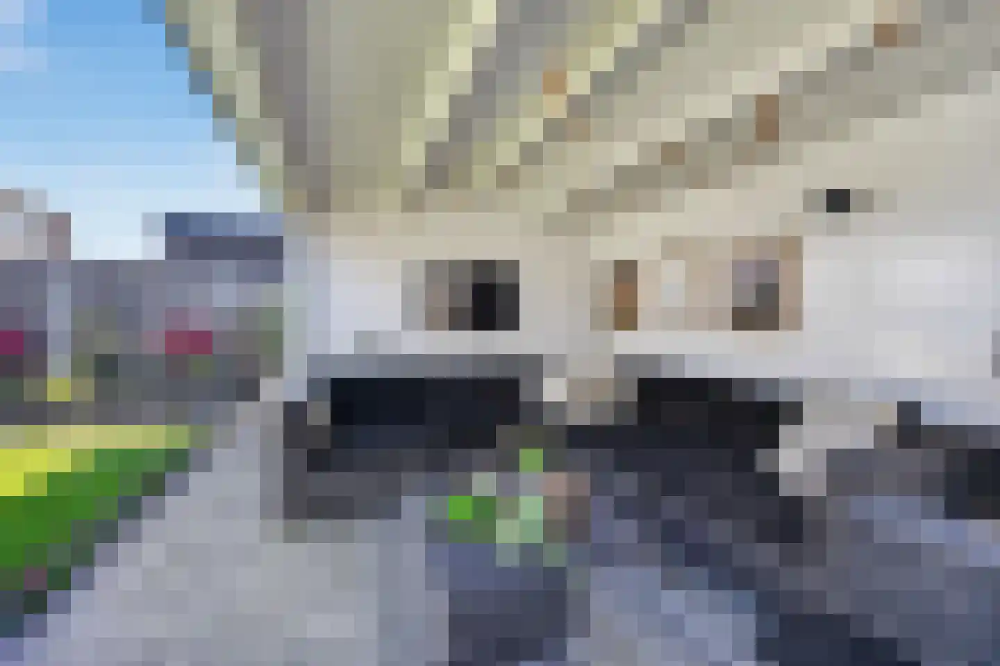 Mercuriusbaan 25 Klazienaveen thumbnail 39
