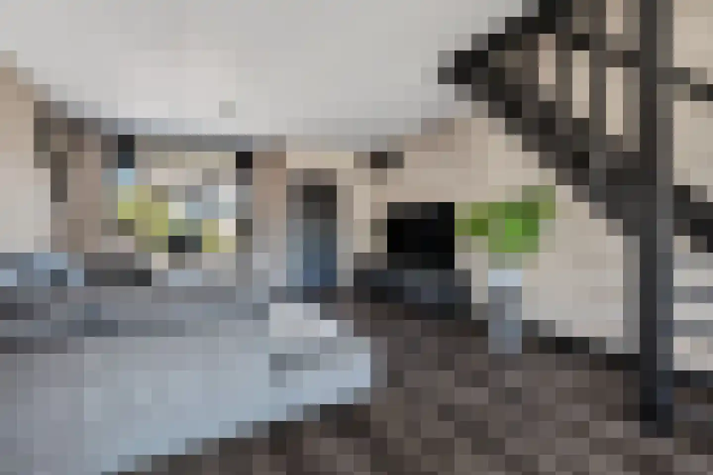 Mercuriusbaan 25 Klazienaveen thumbnail 9
