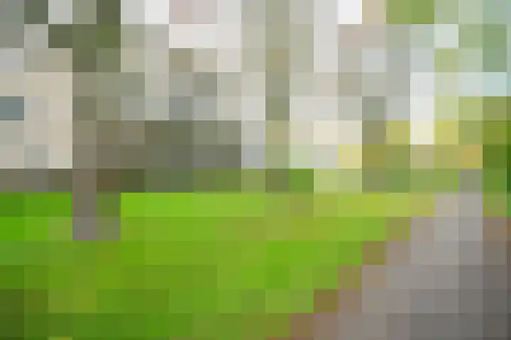 Mercuriusburg 28 Nieuwegein thumbnail 31
