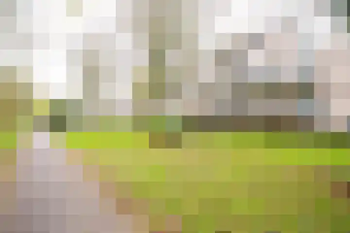 Mercuriusburg 28 Nieuwegein thumbnail 36
