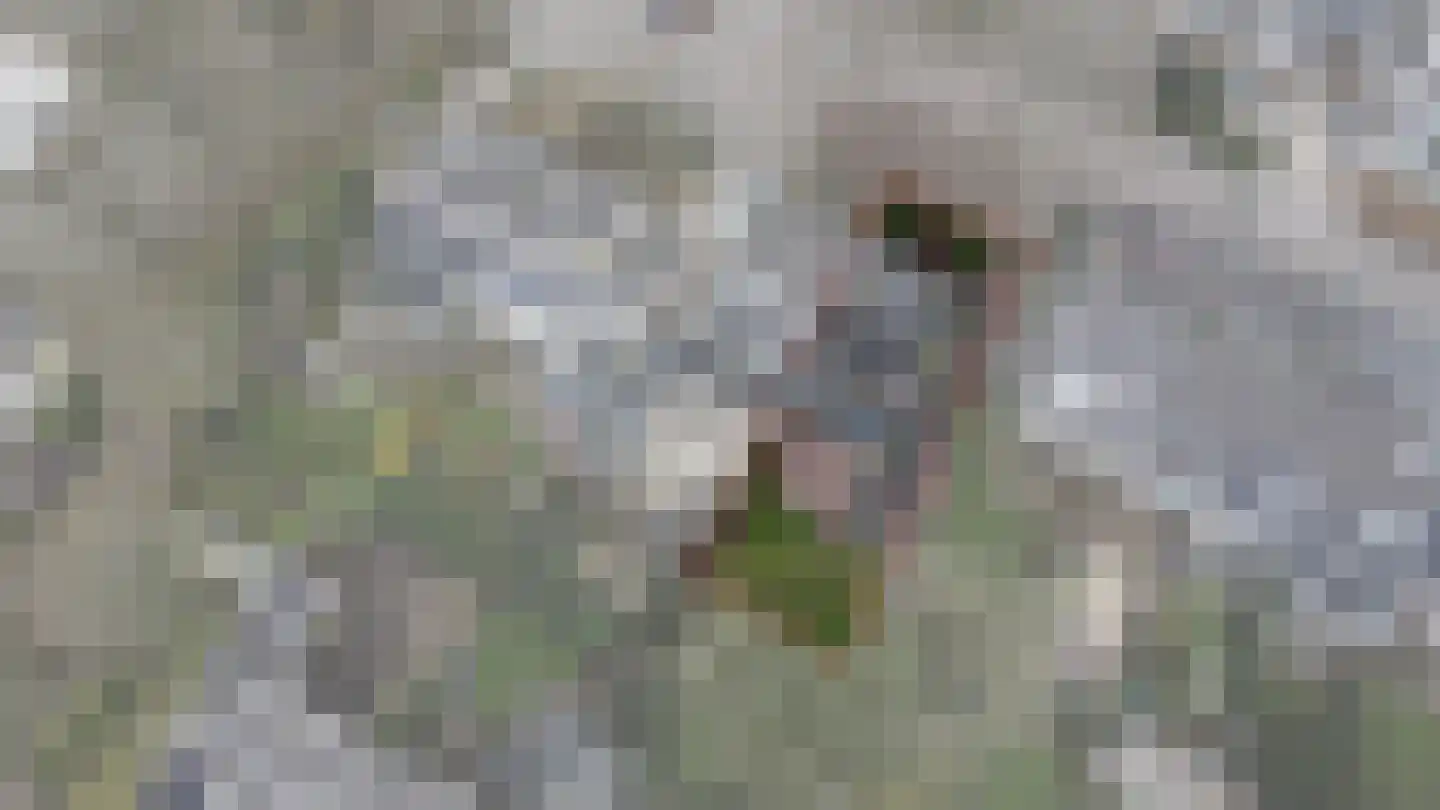 Mercuriushof 11 Maarn thumbnail 4