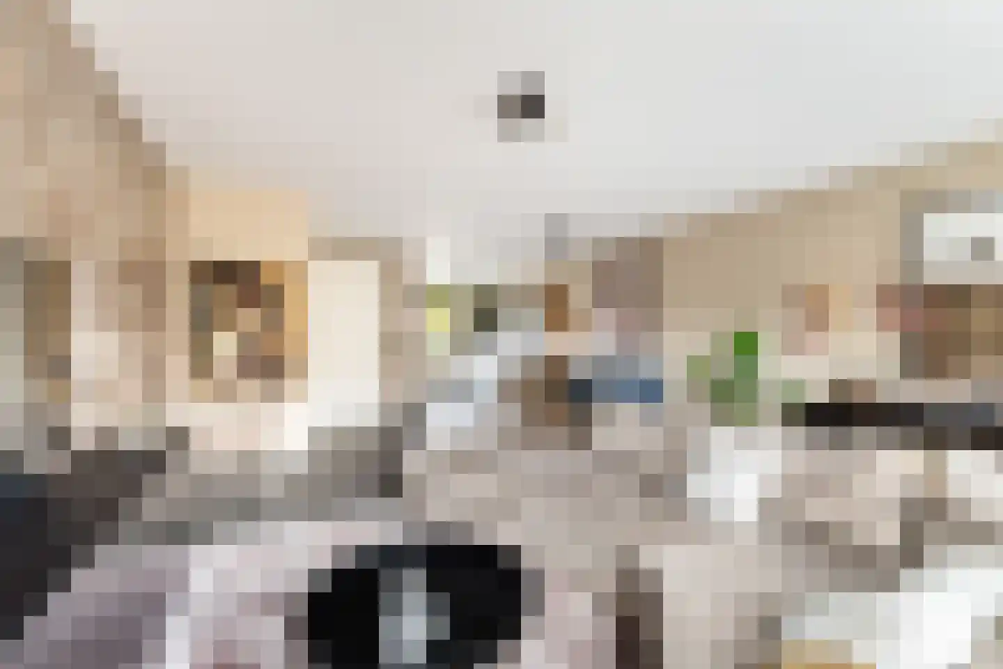 Mercuriushof 12 Huis ter Heide thumbnail 12