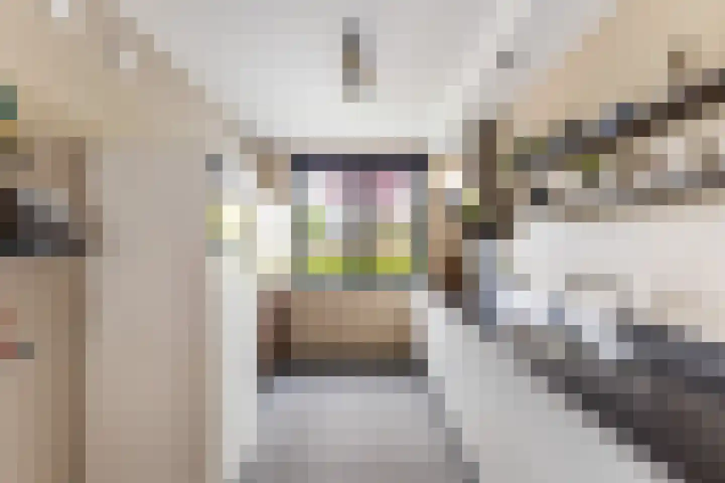 Mercuriushof 12 Huis ter Heide thumbnail 13
