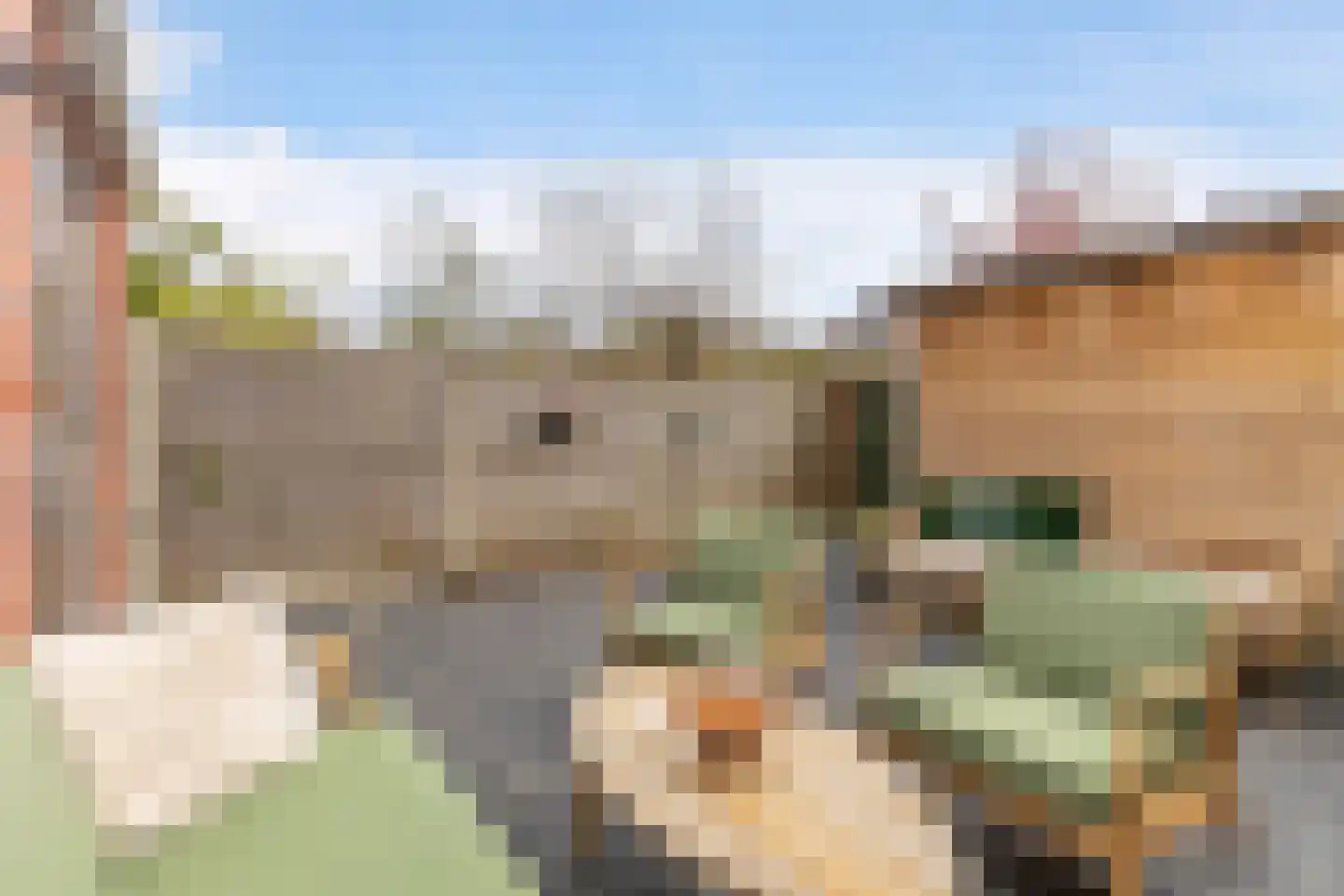 Mercuriushof 12 Huis ter Heide thumbnail 33