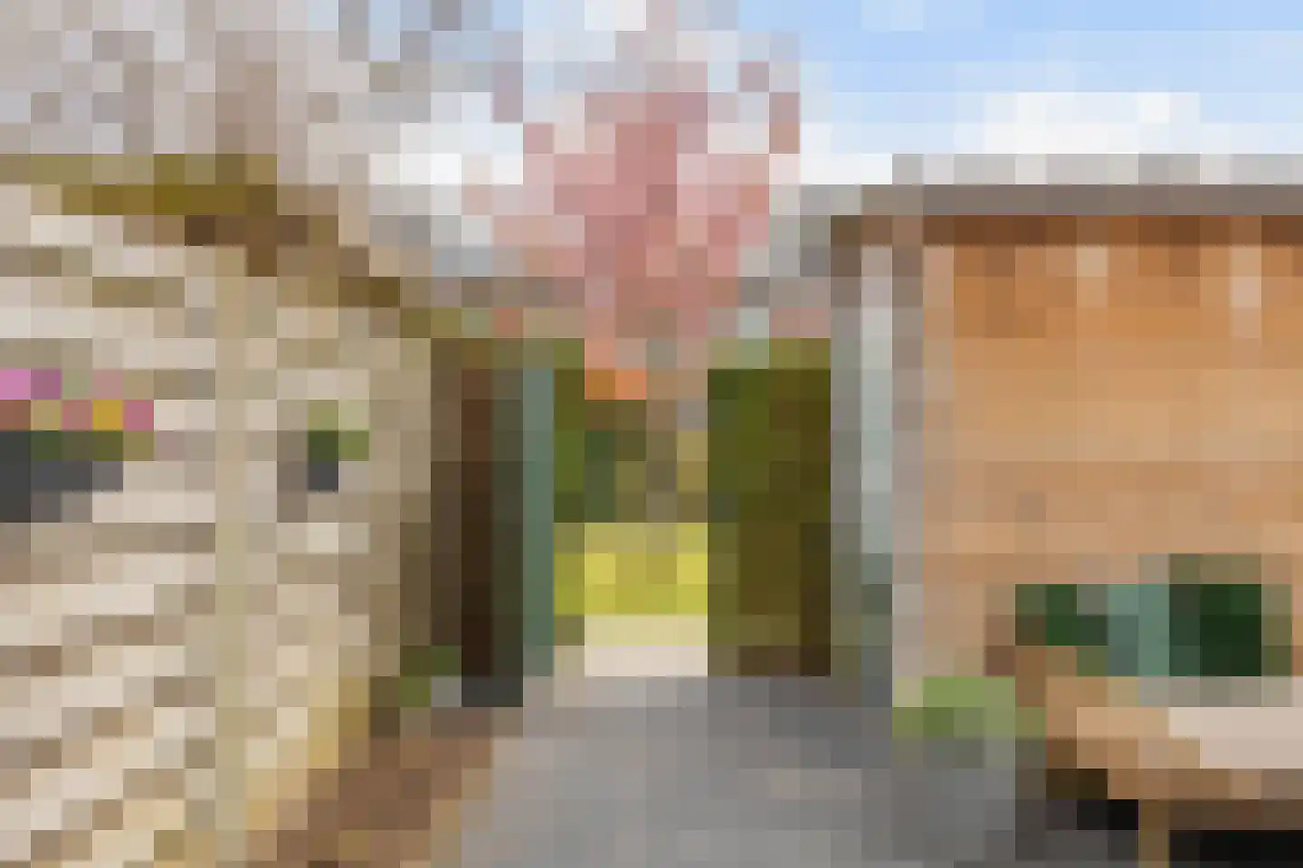 Mercuriushof 12 Huis ter Heide thumbnail 34