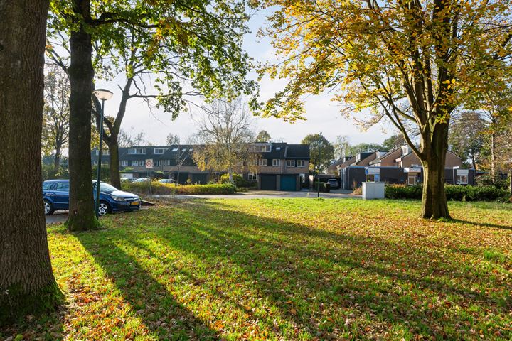 Mercuriushof 2 in Maartensdijk foto