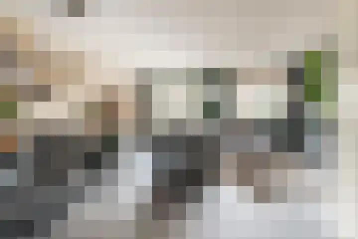 Mercuriushof 2 Huis ter Heide thumbnail 10
