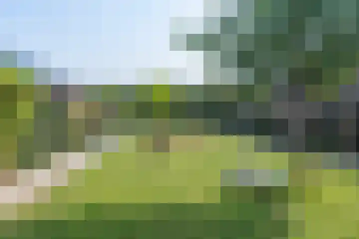 Mercuriushof 2 Huis ter Heide thumbnail 53