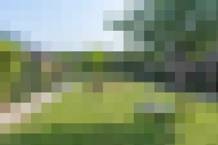 Mercuriushof 2 Huis ter Heide thumbnail 54