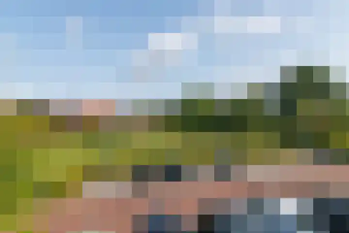 Mercuriushof 2 Huis ter Heide thumbnail 56