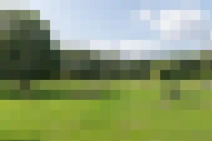 Mercuriushof 2 Huis ter Heide thumbnail 57