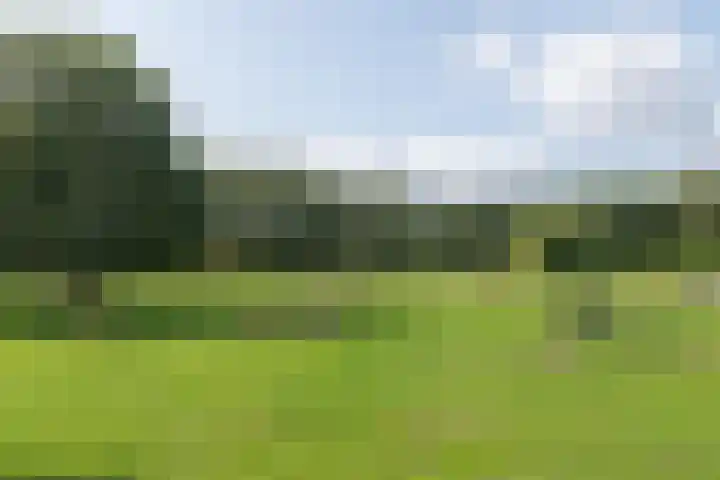 Mercuriushof 2 Huis ter Heide thumbnail 58