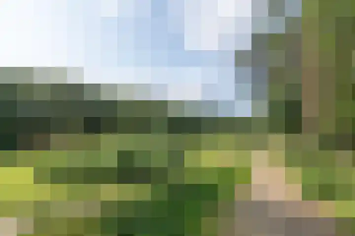 Mercuriushof 2 Huis ter Heide thumbnail 59