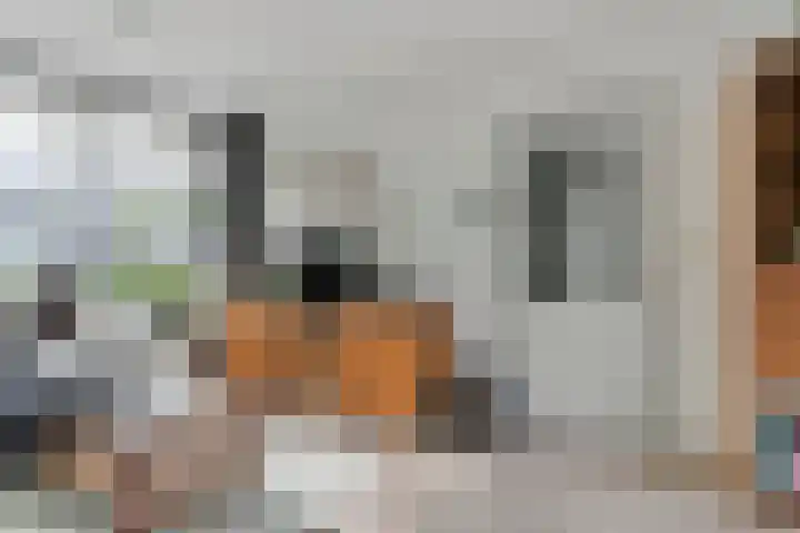 Mercuriuslaan 107 Eindhoven thumbnail 13