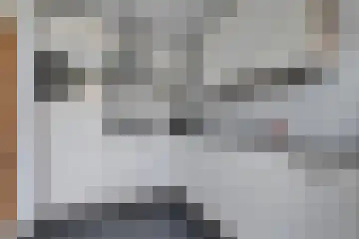 Mercuriuslaan 107 Eindhoven thumbnail 15