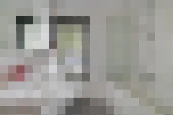 Mercuriuslaan 107 Eindhoven thumbnail 22