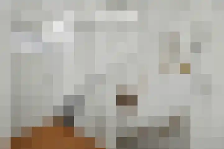 Mercuriuslaan 12 Rockanje thumbnail 13