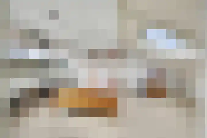 Mercuriuslaan 12 Rockanje thumbnail 22