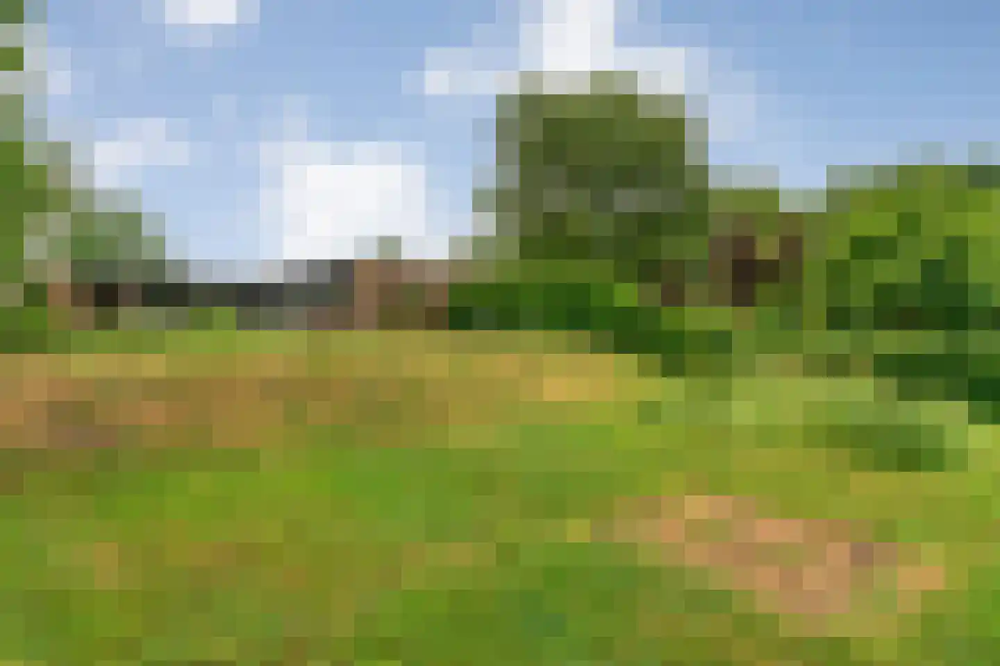 Mercuriuslaan 17 Hardenberg thumbnail 40