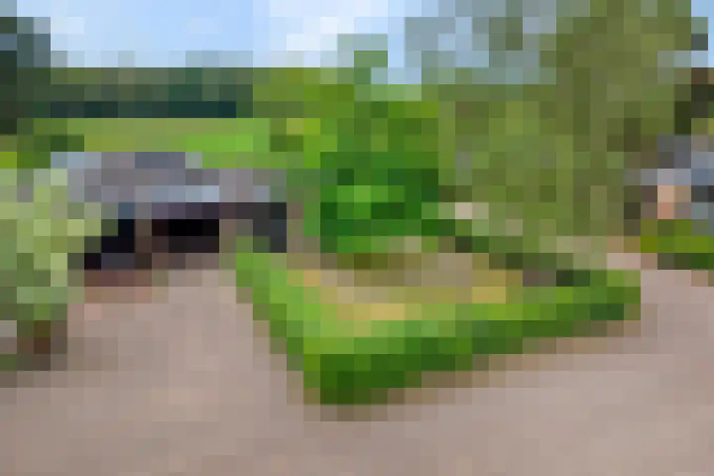 Mercuriuslaan 17 Hardenberg thumbnail 7
