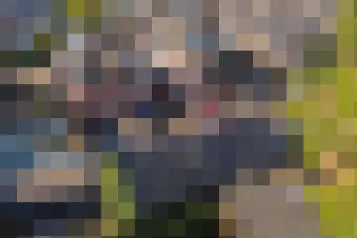 Mercuriuslaan 2 Apeldoorn thumbnail 34
