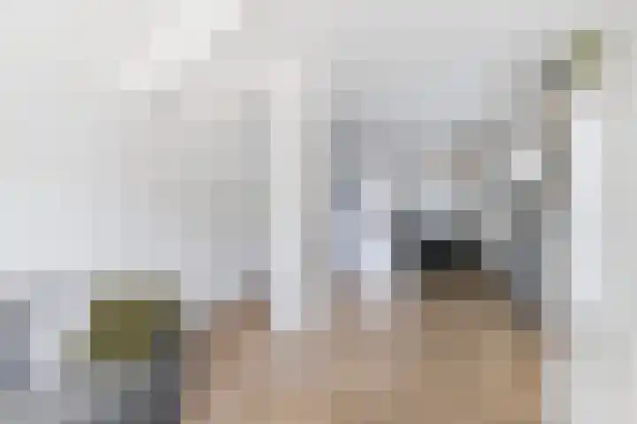 Mercuriuslaan 2 Apeldoorn thumbnail 8