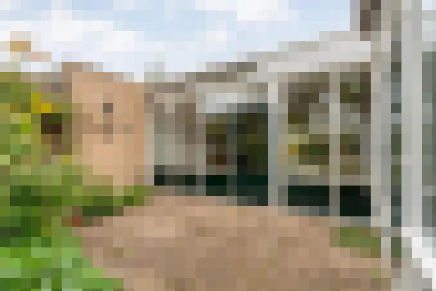 Mercuriuslaan 21 Hardenberg thumbnail 47