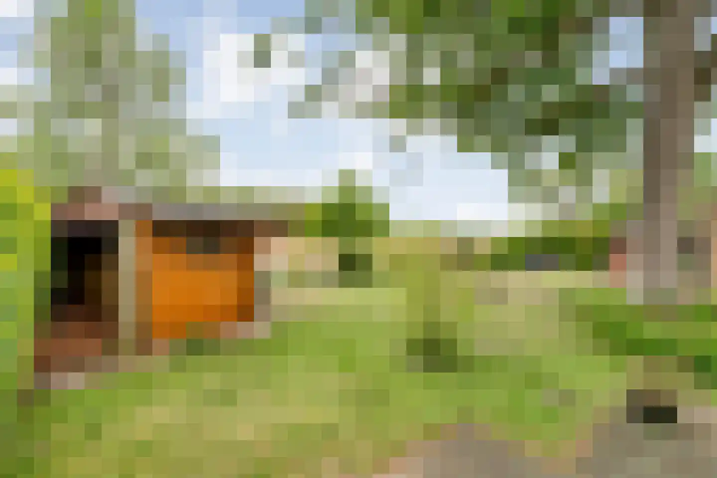 Mercuriuslaan 21 Hardenberg thumbnail 53