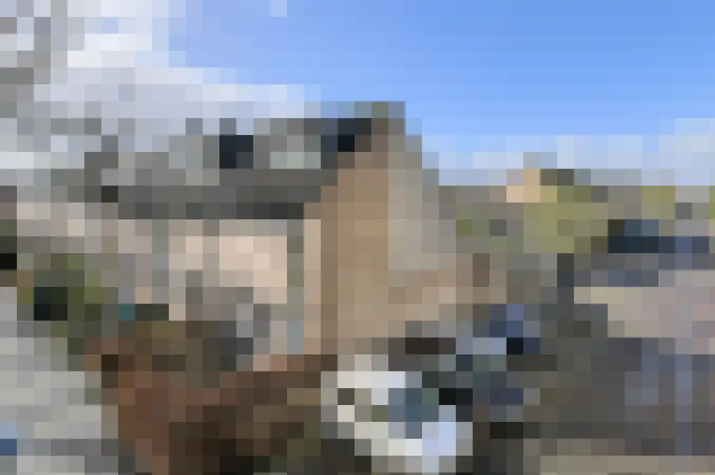 Mercuriuslaan 22 Breda thumbnail 38