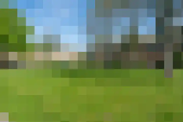 Mercuriuslaan 31 Heerhugowaard thumbnail 57