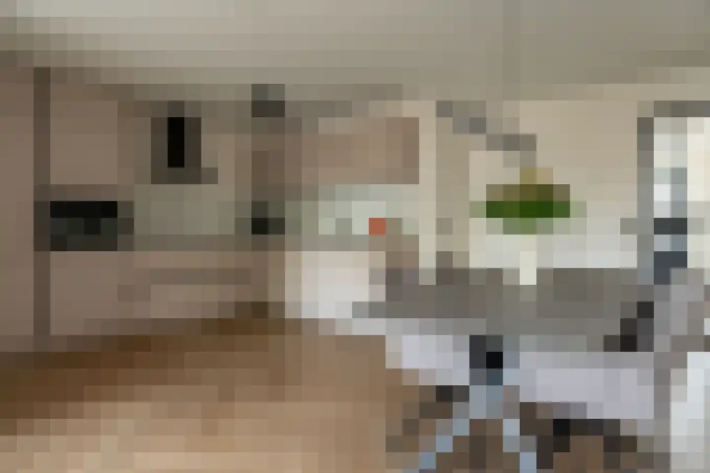 Mercuriuslaan 31 Wildervank thumbnail 8