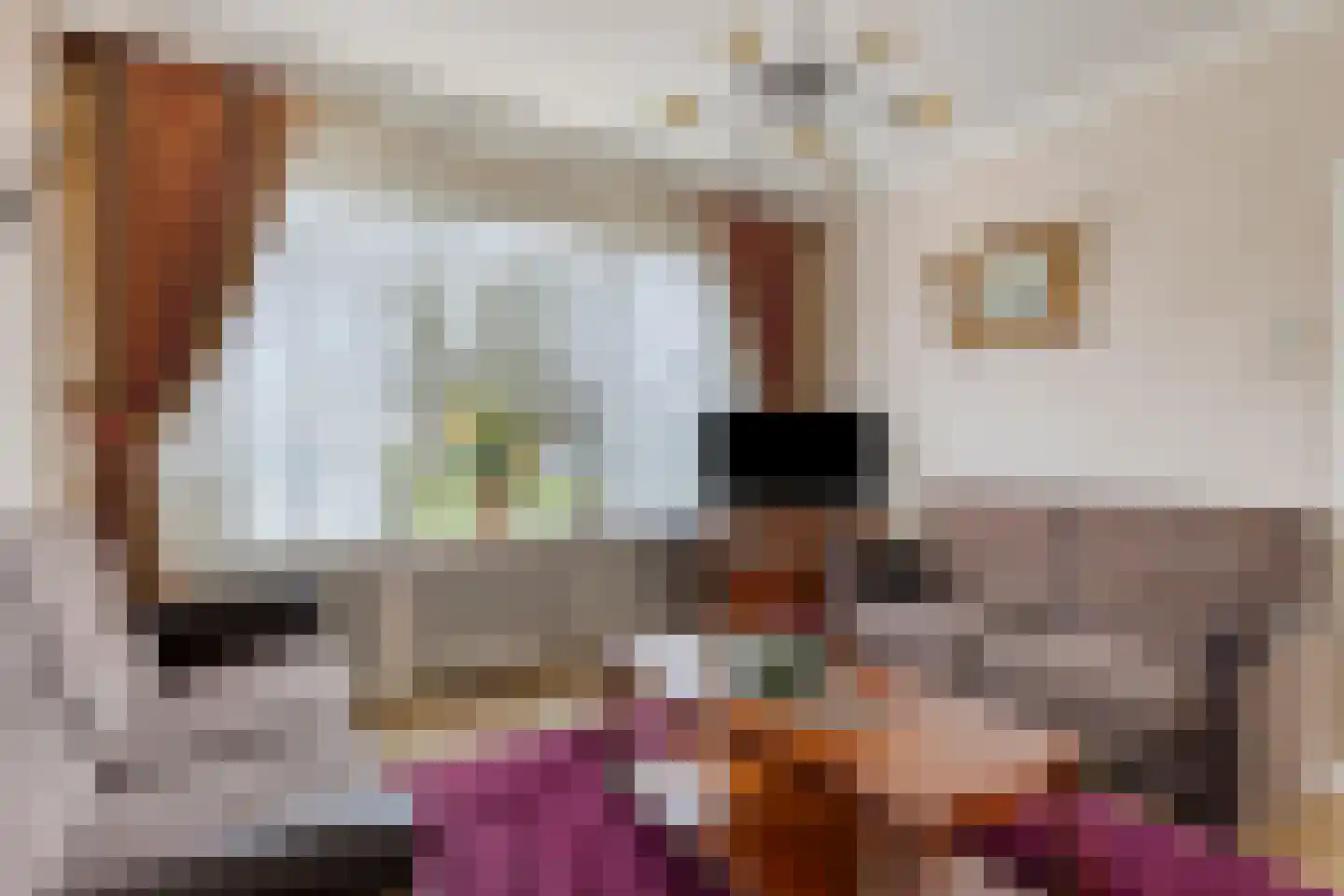 Mercuriuslaan 33 Volendam thumbnail 9