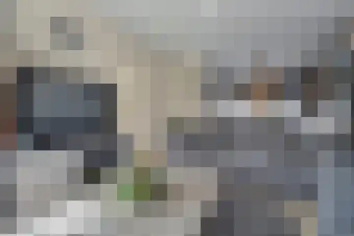 Mercuriuslaan 46 Rockanje thumbnail 8