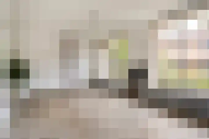 Mercuriuslaan 5 Hardenberg thumbnail 11