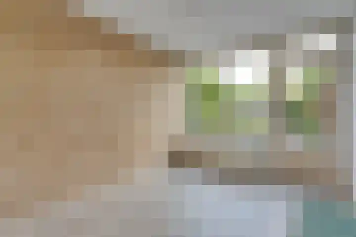 Mercuriuslaan 5 Hardenberg thumbnail 27