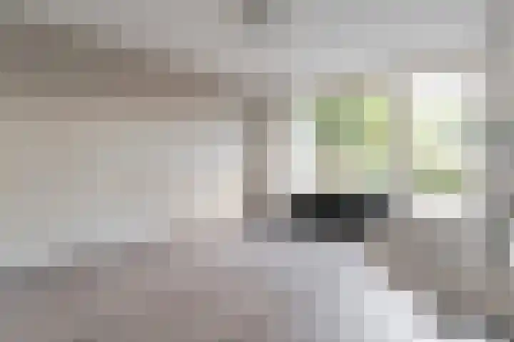 Mercuriuslaan 5 Hardenberg thumbnail 29