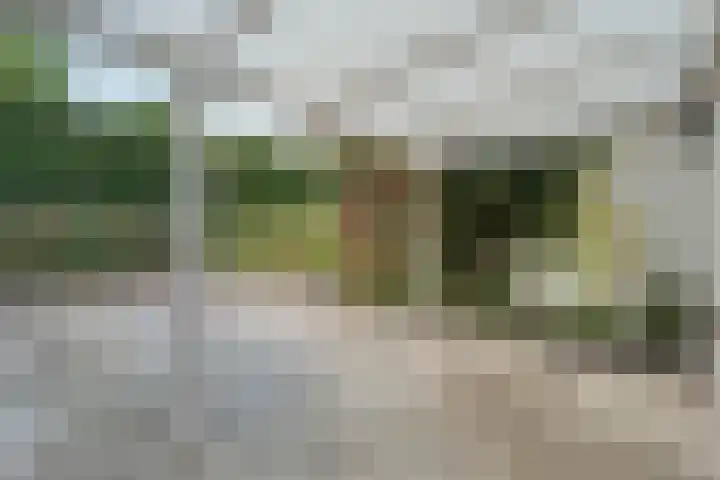 Mercuriuslaan 5 Hardenberg thumbnail 31
