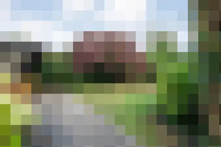Mercuriuslaan 5 Hardenberg thumbnail 37