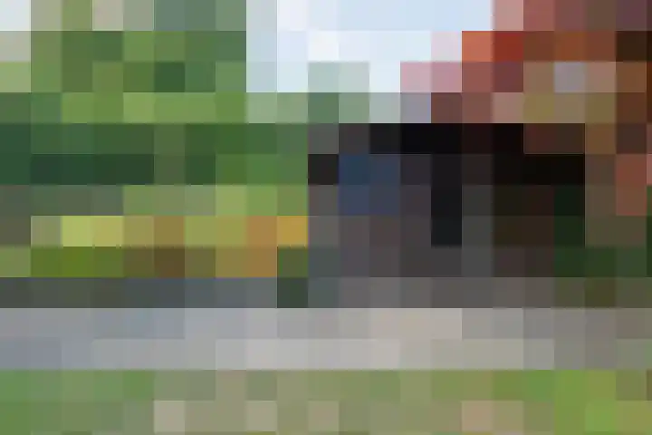 Mercuriuslaan 5 Hardenberg thumbnail 38
