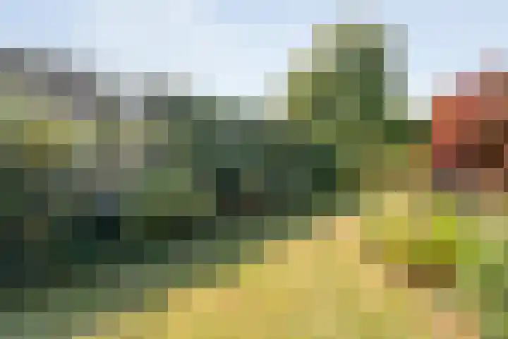 Mercuriuslaan 5 Hardenberg thumbnail 39