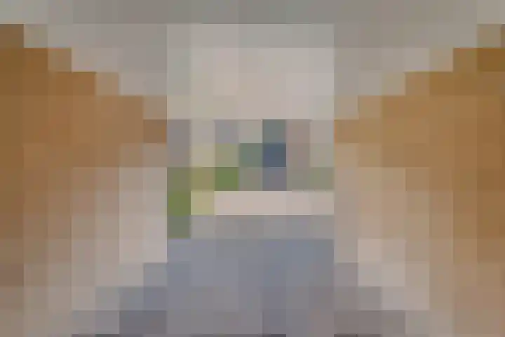 Mercuriuslaan 5 Hardenberg thumbnail 4