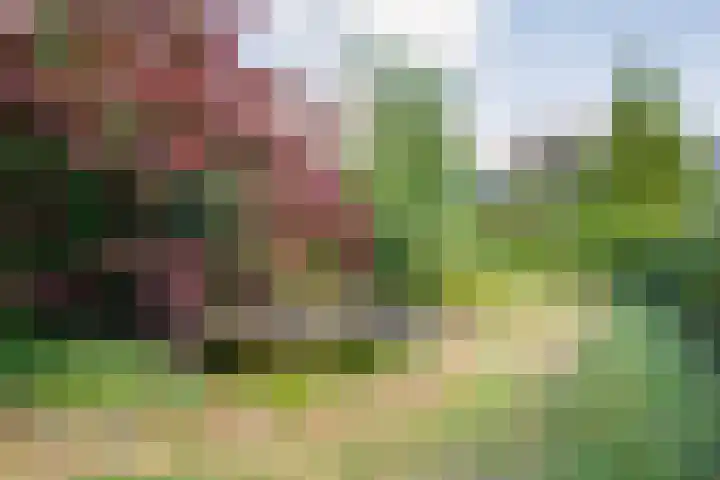 Mercuriuslaan 5 Hardenberg thumbnail 40