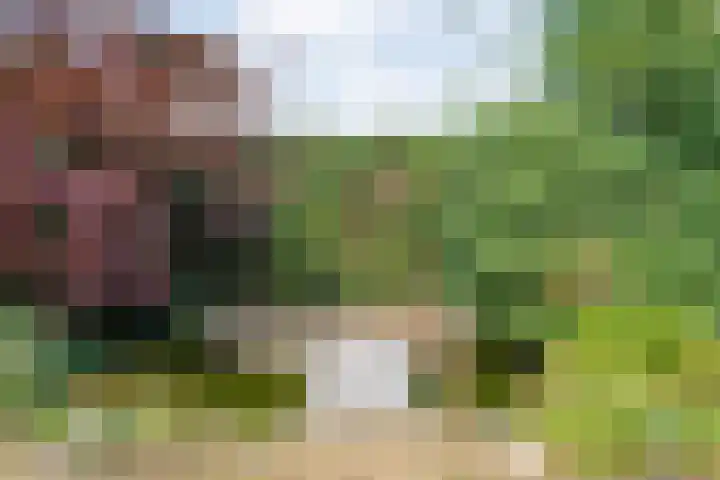 Mercuriuslaan 5 Hardenberg thumbnail 41