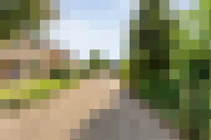 Mercuriuslaan 5 Hardenberg thumbnail 42