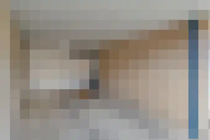 Mercuriuslaan 5 Hardenberg thumbnail 5