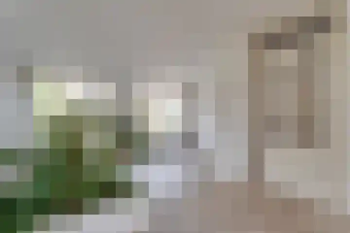 Mercuriuslaan 5 Hardenberg thumbnail 9