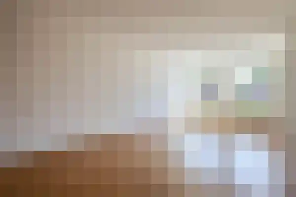 Mercuriuslaan 5 Wildervank thumbnail 16