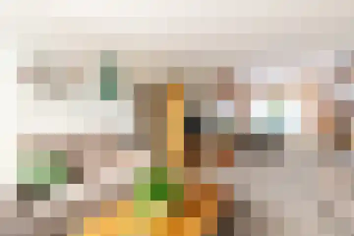 Mercuriuslaan 62 Rockanje thumbnail 11