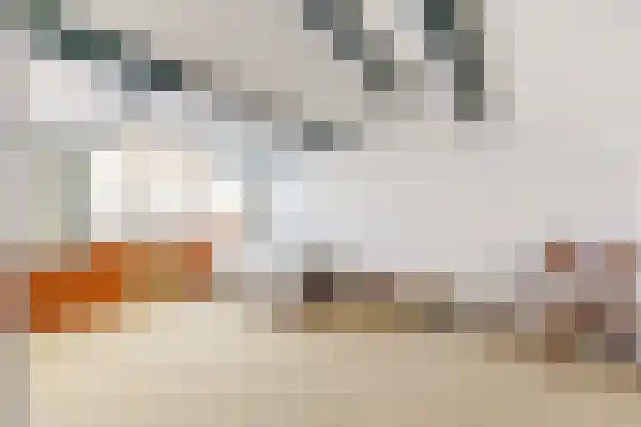 Mercuriuslaan 62 Rockanje thumbnail 28