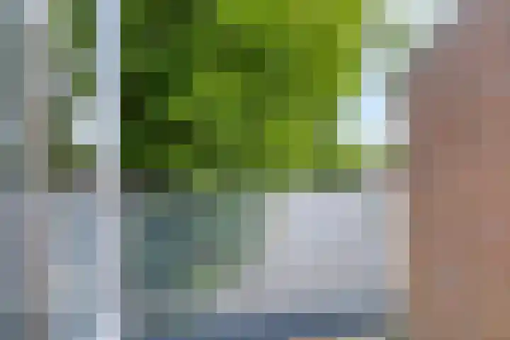 Mercuriuslaan 69 Wildervank thumbnail 15